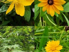 -四里河滨水生态公园