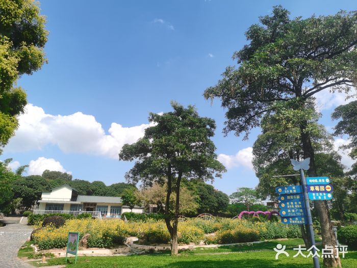 松山湖南湖湾露营营地图片