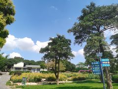 -松山湖南湖湾露营营地