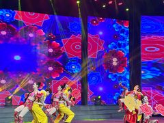 -南风大剧院莎梦二人转剧场