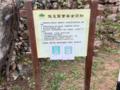 -幽岚山·童话森林