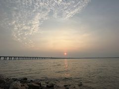 -宝安西湾红树林湿地公园