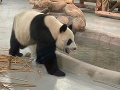 -柳州市动物园