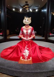 点击看大图 -南京宝娜嫁衣婚纱礼服馆(中央路店)