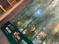 -龙泉人椰子鸡.糟粕醋.海南菜(三亚旗舰店)