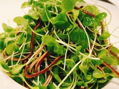 香椿苗豆腐丝-禧宴Joyous Restaurant(禧园店)