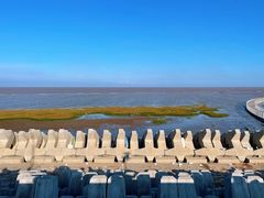 -南汇嘴观海公园