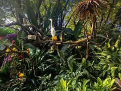 -广州长隆飞鸟乐园
