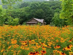 -关门山森林公园