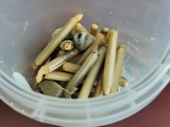 -红树林天天赶海