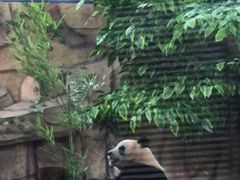 -泉州海丝野生动物世界