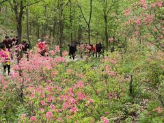 -西泰山风景区