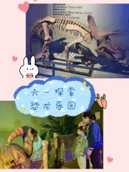 -恐龙探索乐园(磁器口店)