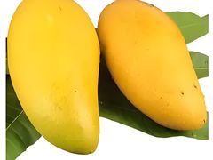 -海纳百川(义乌店)