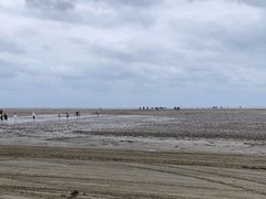 -启东黄金海滩景区