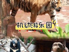 -长鹿旅游休博园