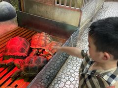 -上海大自然野生昆虫馆(东方明珠·爬宠昆虫探索中心)