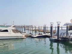 -渡海小渔村.老辈日照菜