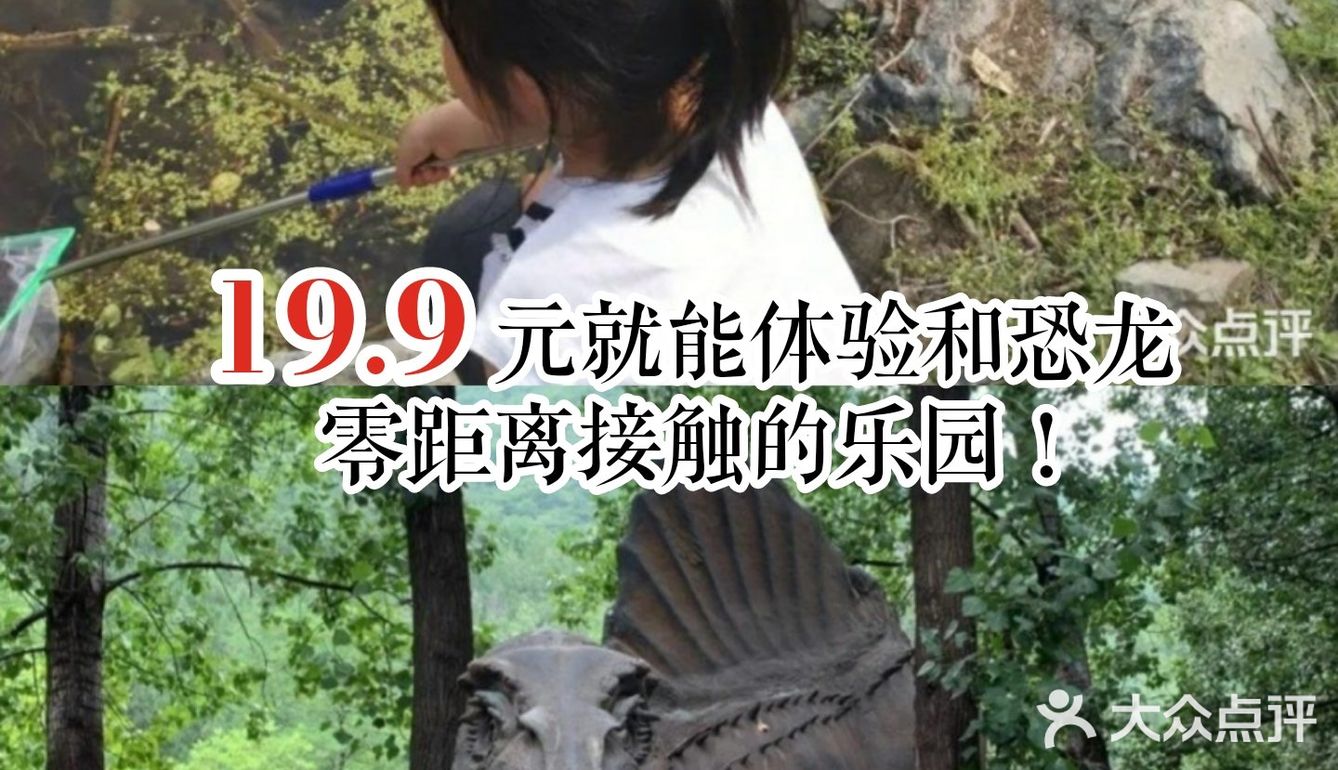 19.9就能带娃体验和恐龙近距离接触的乐园！