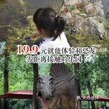 19.9就能带娃体验和恐龙近距离接触的乐园！