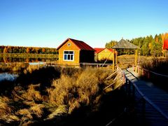 -塞罕坝国家级自然保护区