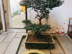 -文儒九号·闽菜馆(三坊七巷店)