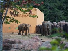 -沈阳森林动物园