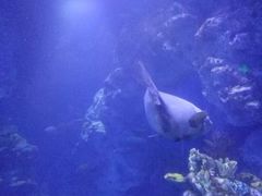 -临沂极地海洋王国