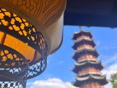 -龙华素斋(龙华路店)