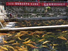 -建社鱼庄(管坪店)