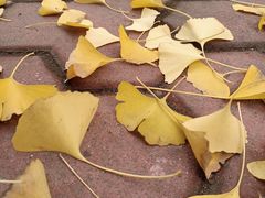 -西南民族大学南区(双流校区)