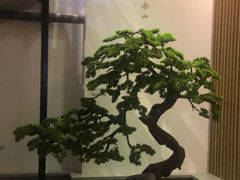 -蜜桃餐厅·伴山(湖滨商业街店)