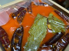 -川西坝子(老军营店)