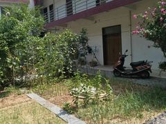 -柞水乾佑红门家菜