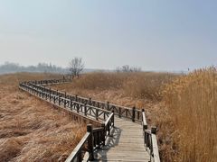 -野鸭湖国家湿地公园