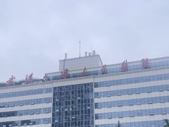 -武汉大学人民医院(首义院区)