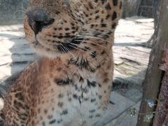 -贵州森林野生动物园