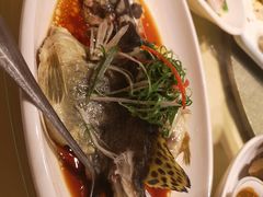 -粤味馆(黄河路店)