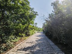 -南翠屏公园