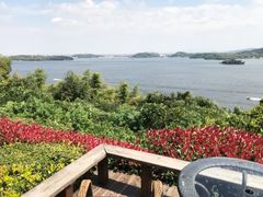 -天目湖涵田半山温泉