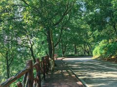 -广州市石门国家森林公园