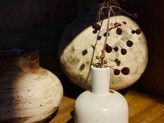 -自由生长植物工作室(深港花卉中心店)