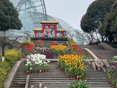 -南山植物园