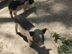 -昆山城市生态森林公园