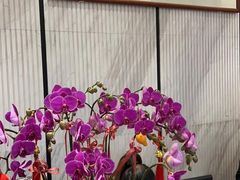 -润泽天·湘味家宴(岳麓山店)