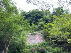 -广州市白云山风景名胜区