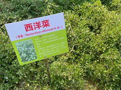 -天河儿童公园