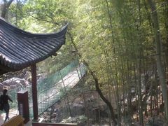 -陶祖圣境风景区