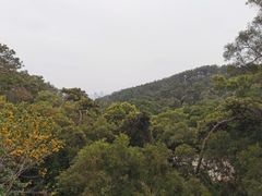 -狐尾山公园