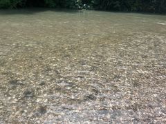 -华蓥山天意谷景区